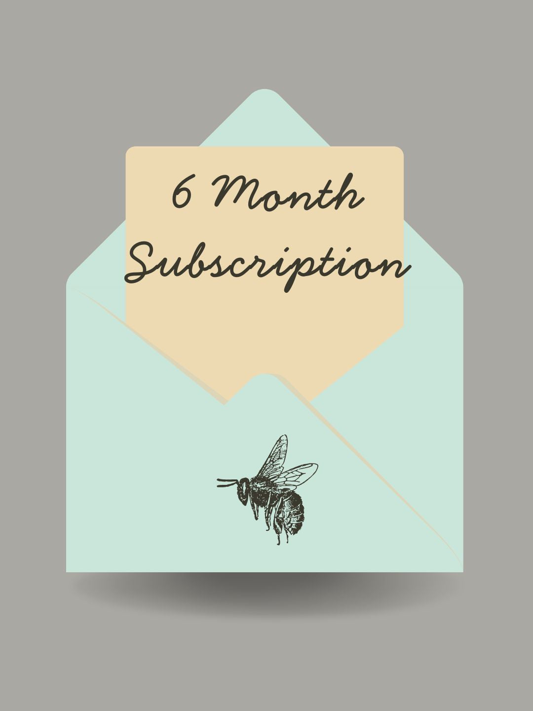 6 Month Subscription